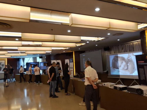 2021視聽行業(yè)高峰論壇暨萬里行全國巡展杭州站順利召開 多媒體設(shè)計服務(wù)的創(chuàng)新與發(fā)展